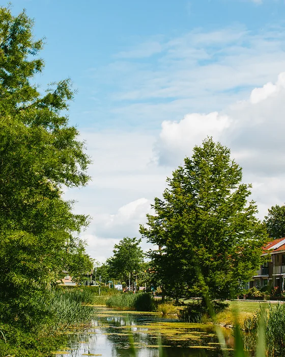 Woningen langs het water, waar de grondwaterstand telt