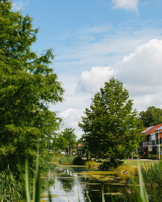 Woningen aan het water in Noord-Nederland